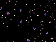 Particle Lenia cover