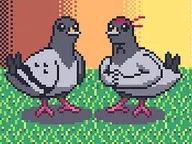 Pigeon Ascent cover