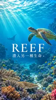 REEF cover